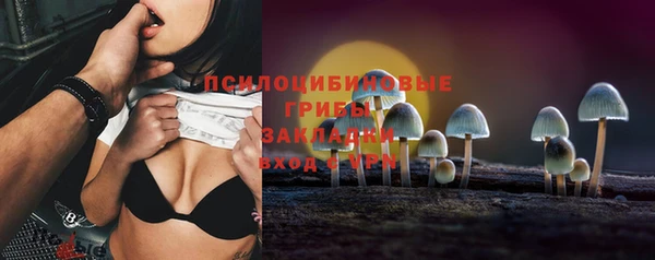 прущая мука Алзамай