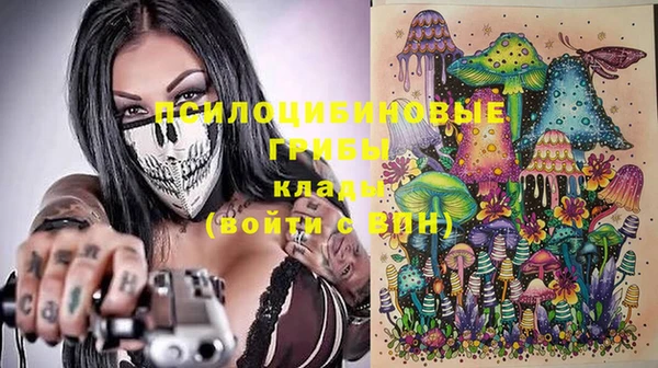 прущая мука Алзамай
