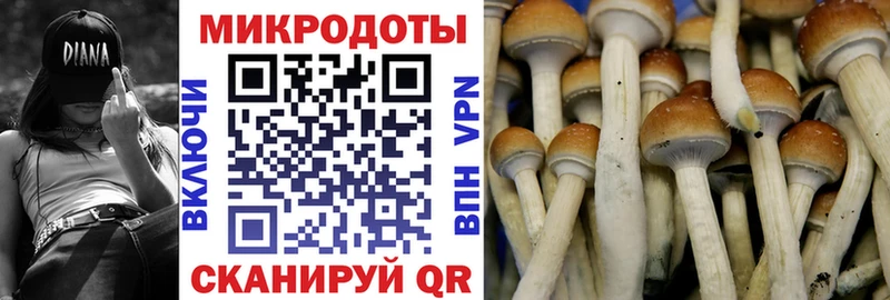 Купить где  Валуйки  Галлюциногенные грибы MAGIC MUSHROOMS 